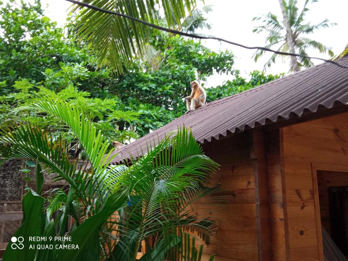 Magic World Otel Palolem Dış mekan fotoğraf